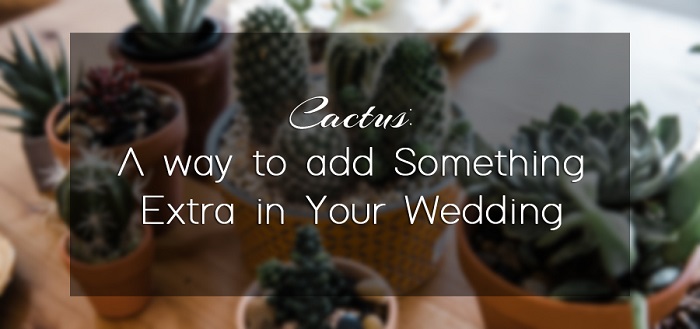 Cactus: A way to Add Something Extra in Your Wedding