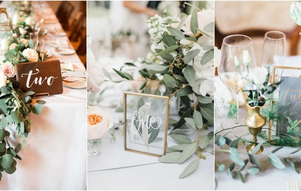 Guiding Love in Style: Unleashing the Magic of Wedding Table Cards